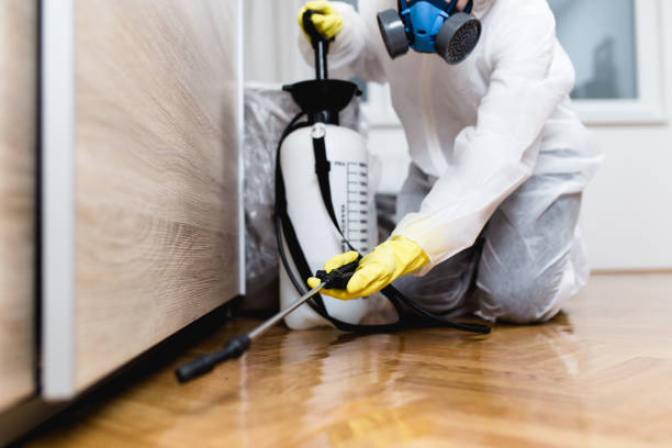 Best Affordable Pest Control Services  in Woodlands, CA