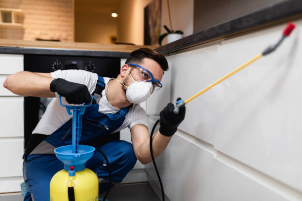 Best Best Pest Control Companies  in Woodlands, CA