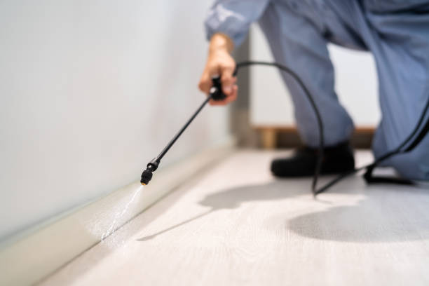 Pest Control Cost in Woodlands, CA
