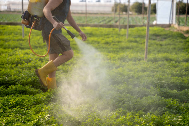 Best Pest Inspection Near Me  in Woodlands, CA