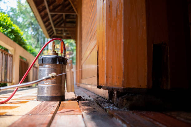 Best Best Pest Control Companies  in Woodlands, CA