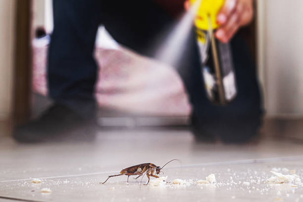Best Flea Control Services  in Woodlands, CA