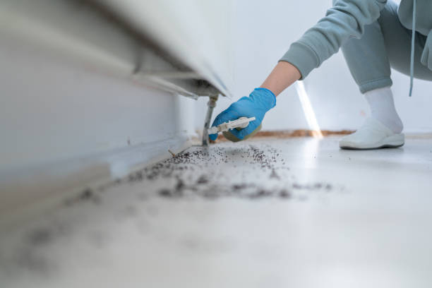 Best Wildlife Control Services  in Woodlands, CA