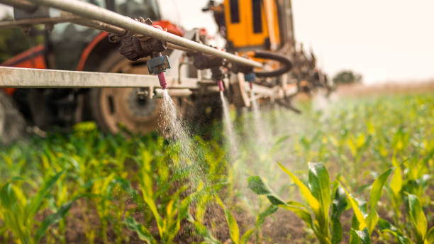 Best Mosquito Control Services  in Woodlands, CA